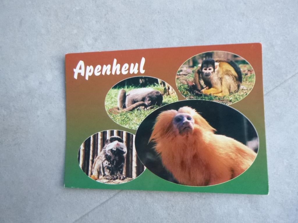 Apeldoorn, Apenheul, Verzenden, 1980 tot heden, Gelopen, Gelderland