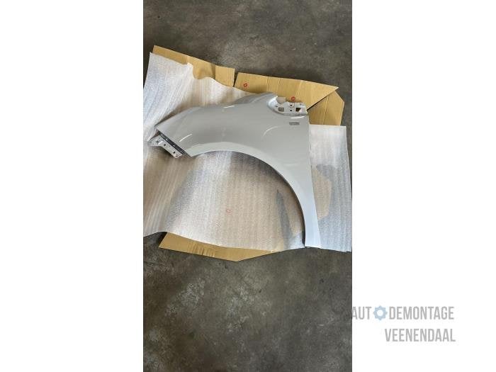 Scherm links-voor van een Opel Meriva (Z176), -, -, Opel, Nieuw
