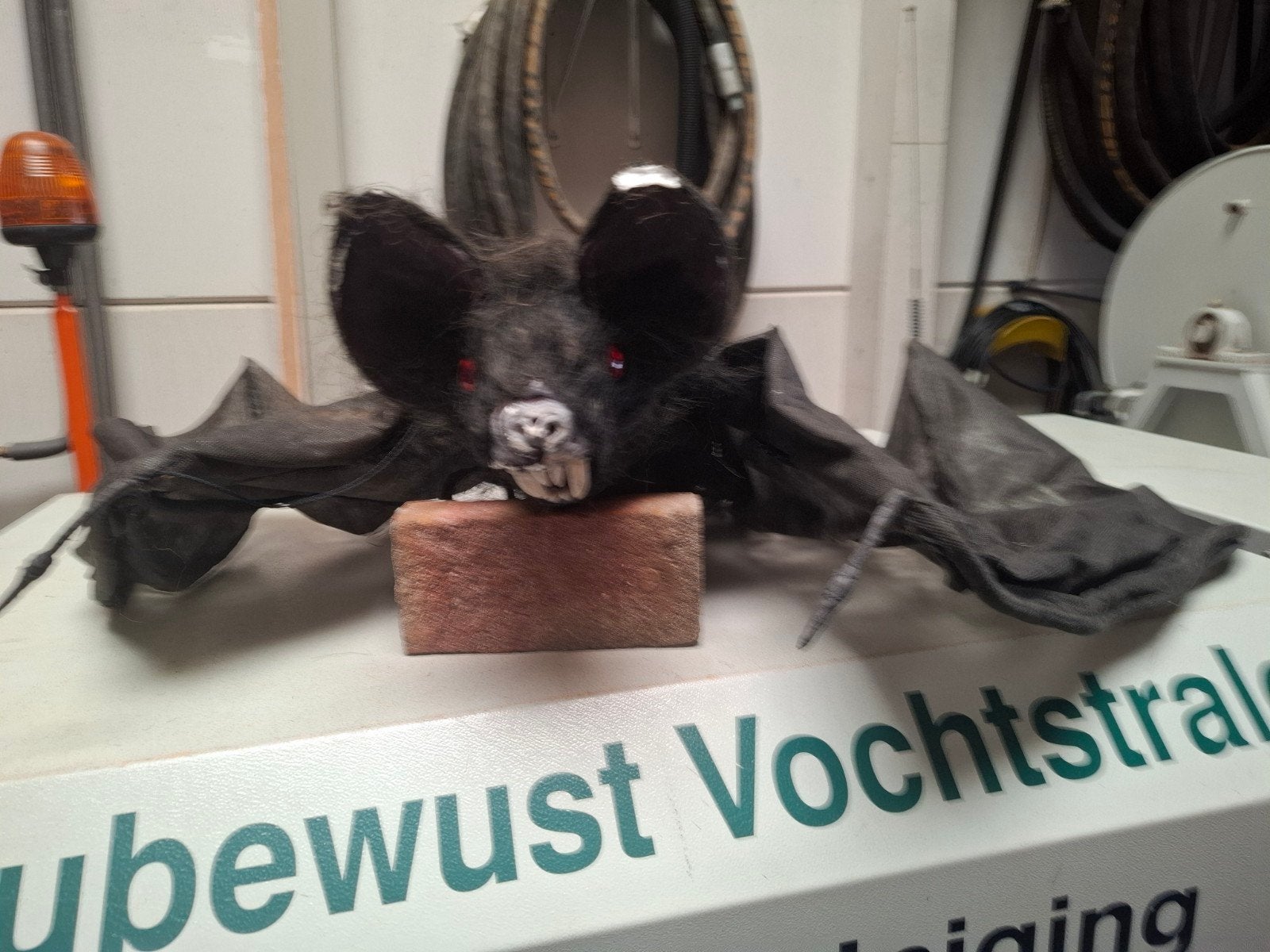 Halloween grote vleermuis, 33 - 40 uur, Overige vormen