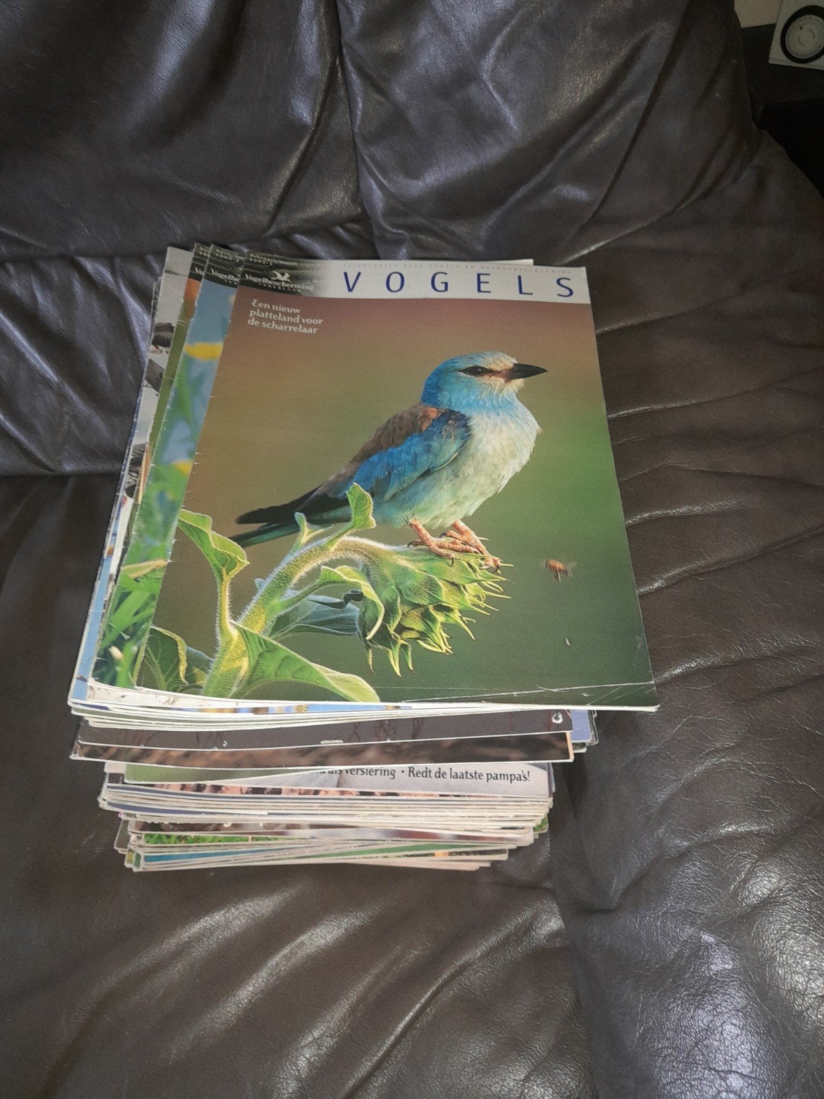 tijdschrift vogels, van vogelbescherming, Ophalen, Wetenschap en Natuur