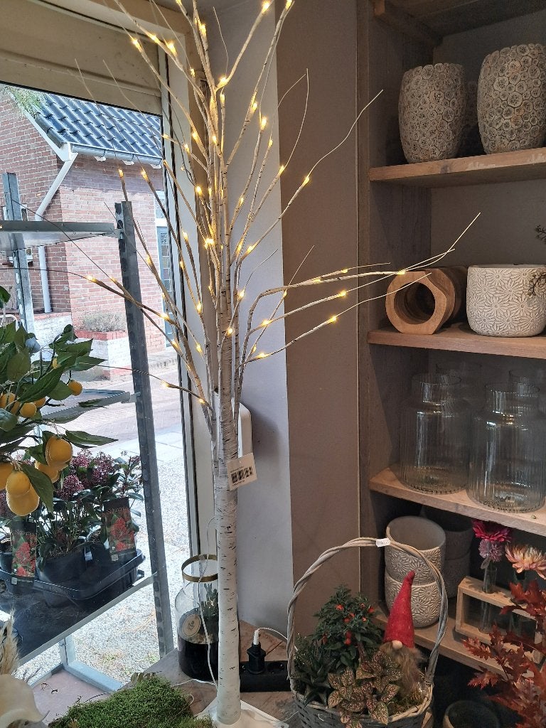 Kerstboom, Diversen, Ophalen of Verzenden, Nieuw