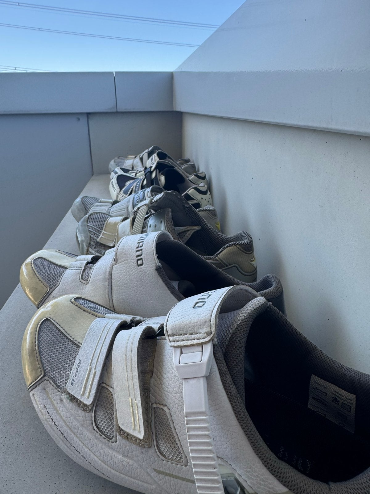 Shimano SPD-SL racefiets schoenen - Maat 42, Ophalen of Verzenden, Gebruikt, Kleding