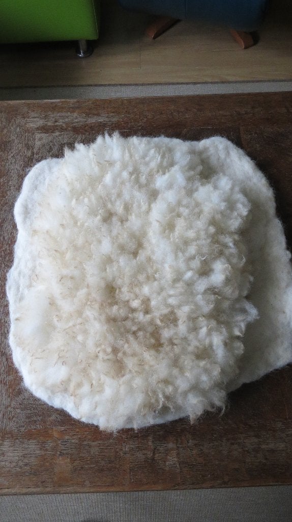 Poll Dorset, gevilte wol, stoelkussen, vilt vacht, 52x52cm, Verzenden, Nieuw