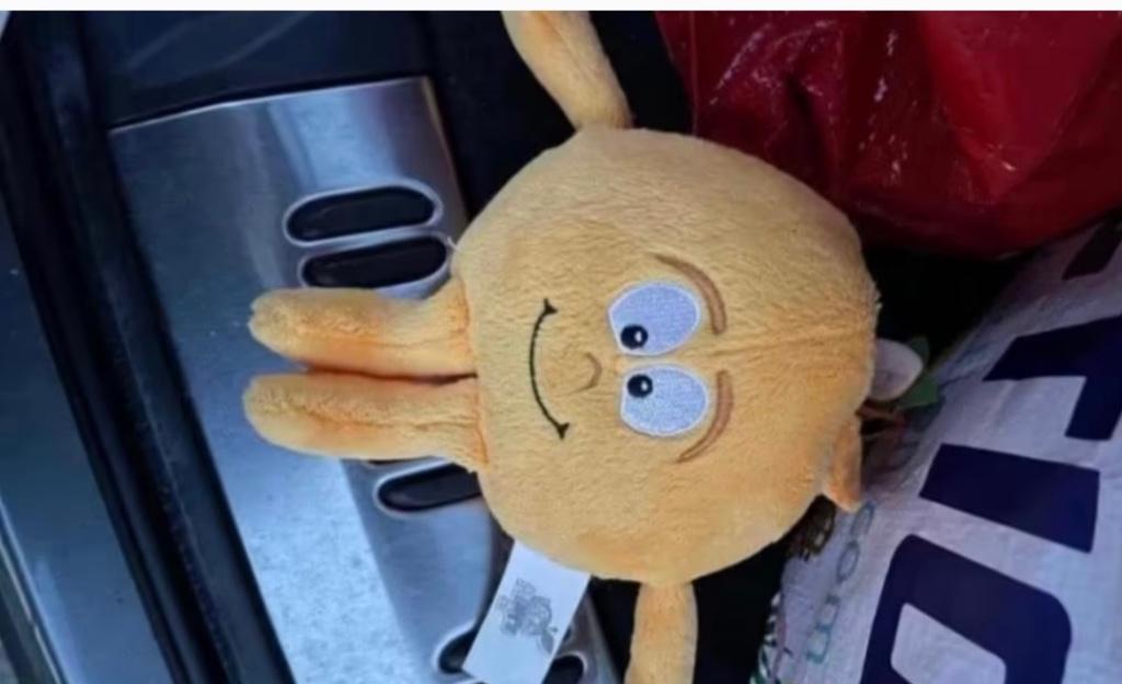 Knuffel Lidl mandarijn, Lidl, Ophalen