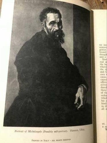 Michelangelo, Ophalen of Verzenden, Gelezen