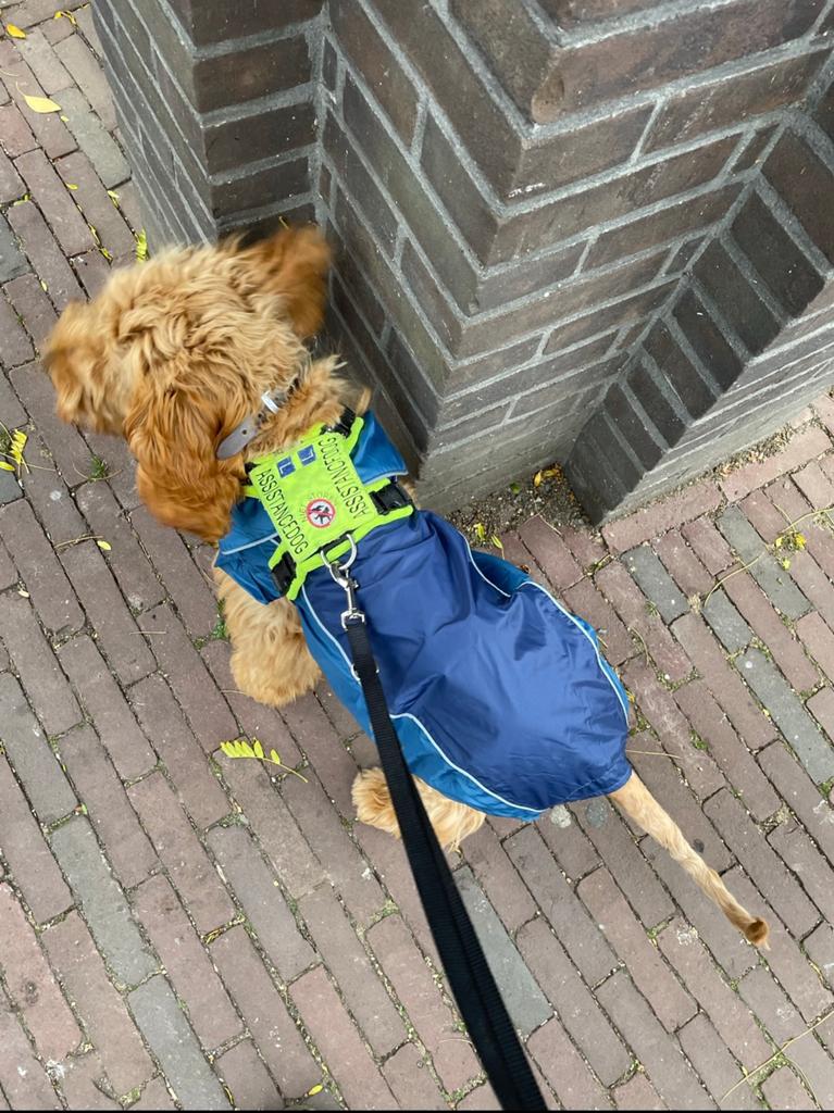 Honden regenjas Trixie, Ophalen of Verzenden, Zo goed als nieuw