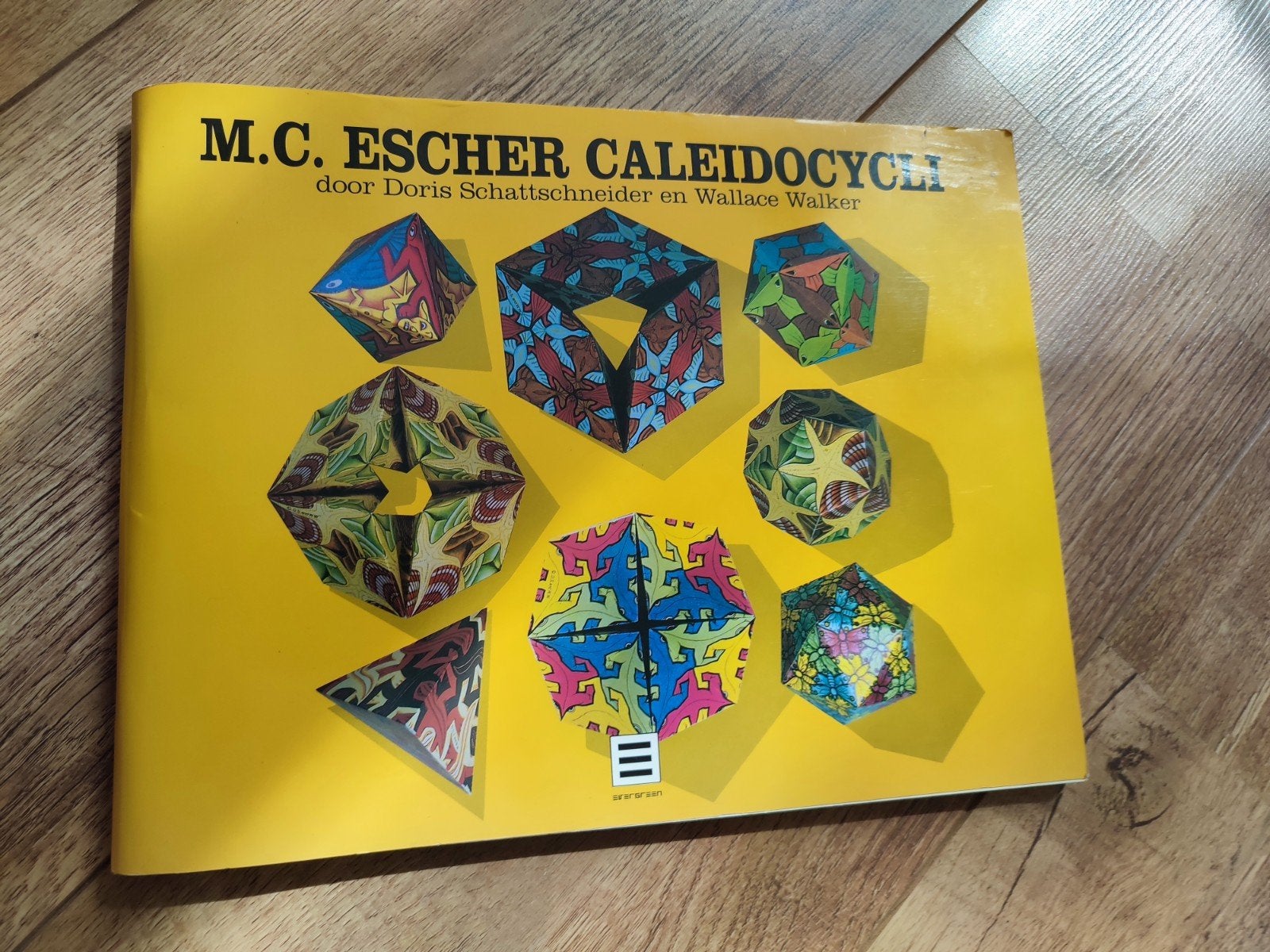 M.C. Escher Kaleidocycli - Boek met 3D-figuren, Ophalen of Verzenden, Zo goed als nieuw, Overige onderwerpen, Doris Schattschneider en Wallace Walker