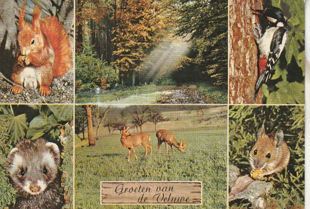 Groeten van de Veluwe 1987 1, Ophalen of Verzenden, 1980 tot heden, Gelopen, Gelderland