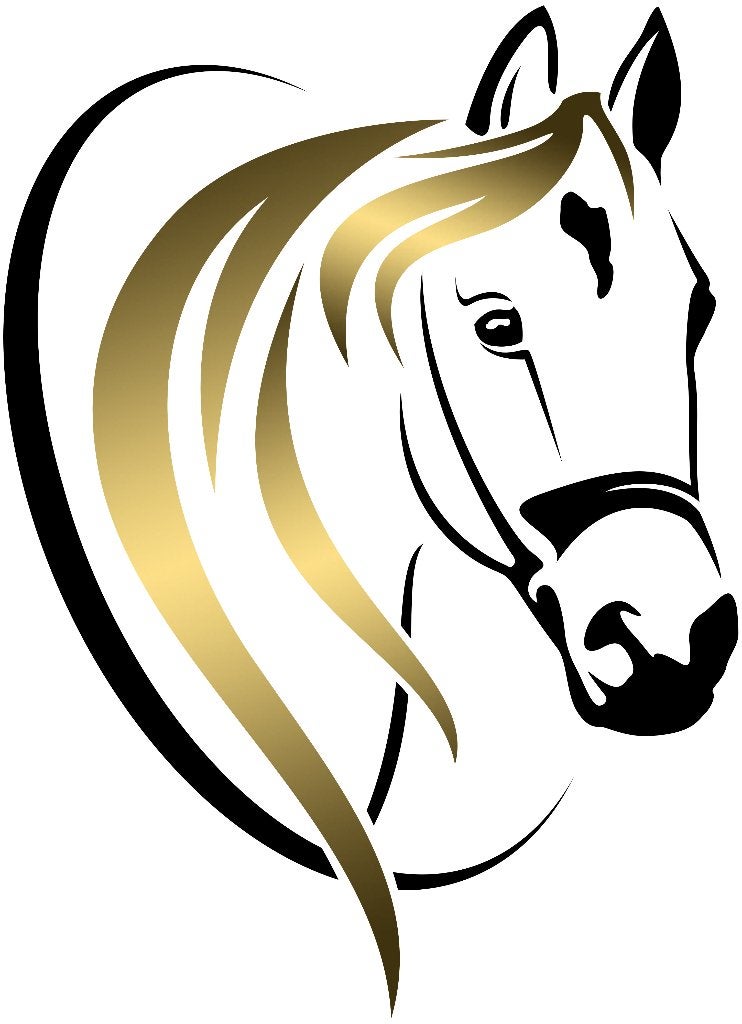 dinsdag en donderdag stalhulp gevraagd in Oirschot, Dieren en Toebehoren, Stalling en Weidegang, Stalling, 4 paarden of pony's of meer