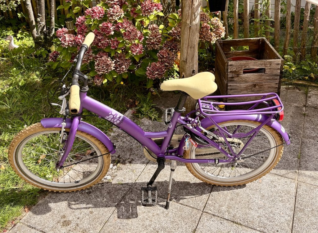 LOEKIE fiets 20 inch meisjes, Paars, Ophalen, Terugtraprem, Gebruikt, Loekie