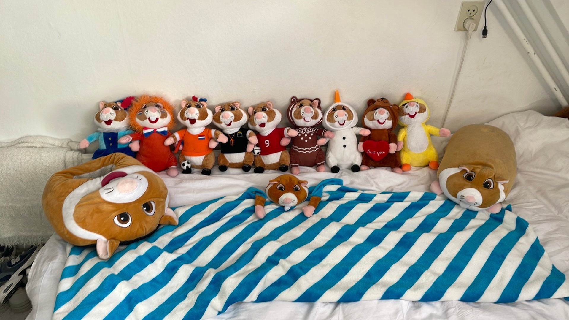 Albert heijn hamsters, Hamster, Zo goed als nieuw, Meerkleurig, Wasbaar