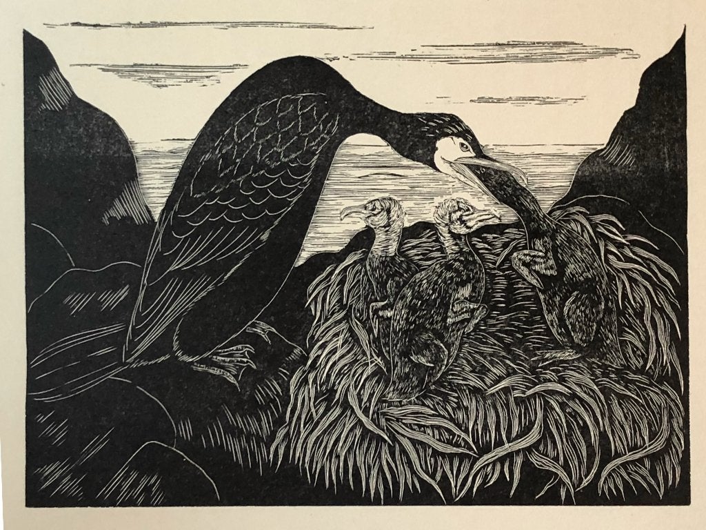 Mooie, betaalbare kunst v/h Grafiekkabinet E.F. Daglish, Verzenden