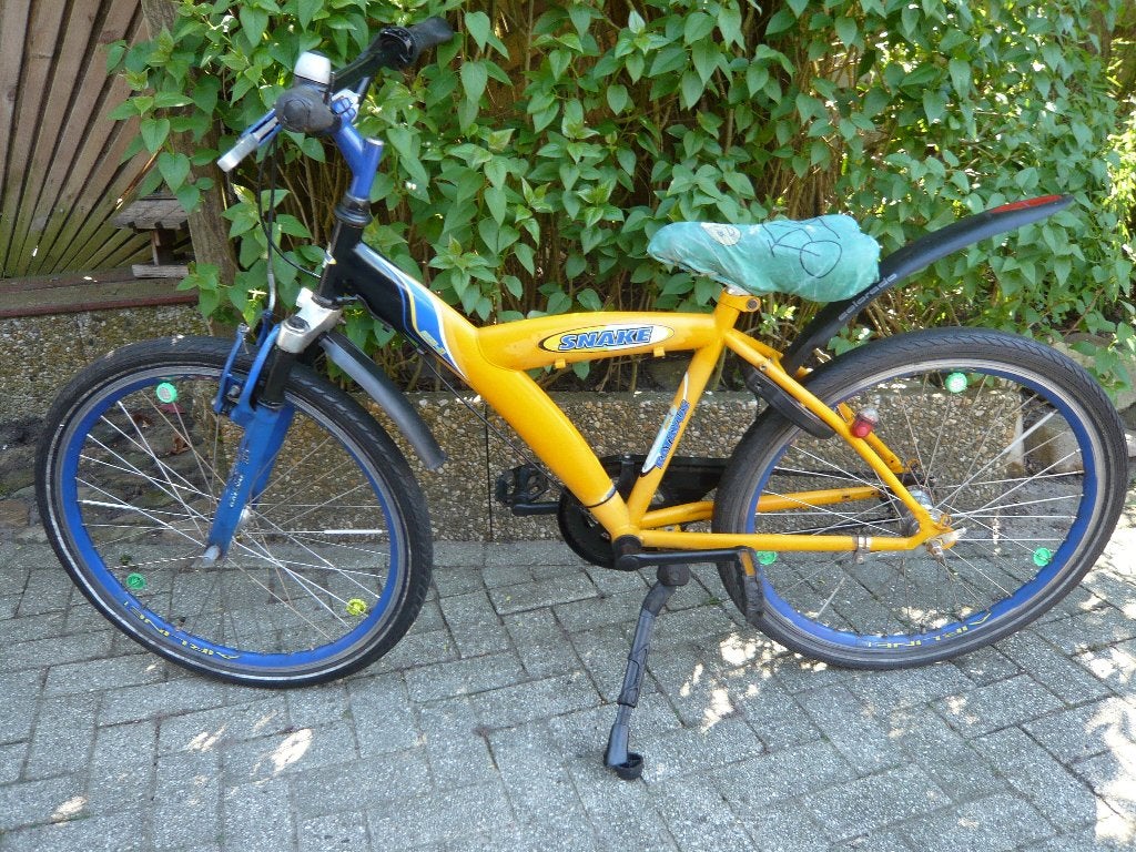 stoere 24 inch batavus snake, Ophalen, Gebruikt, 20 inch of meer, Batavus