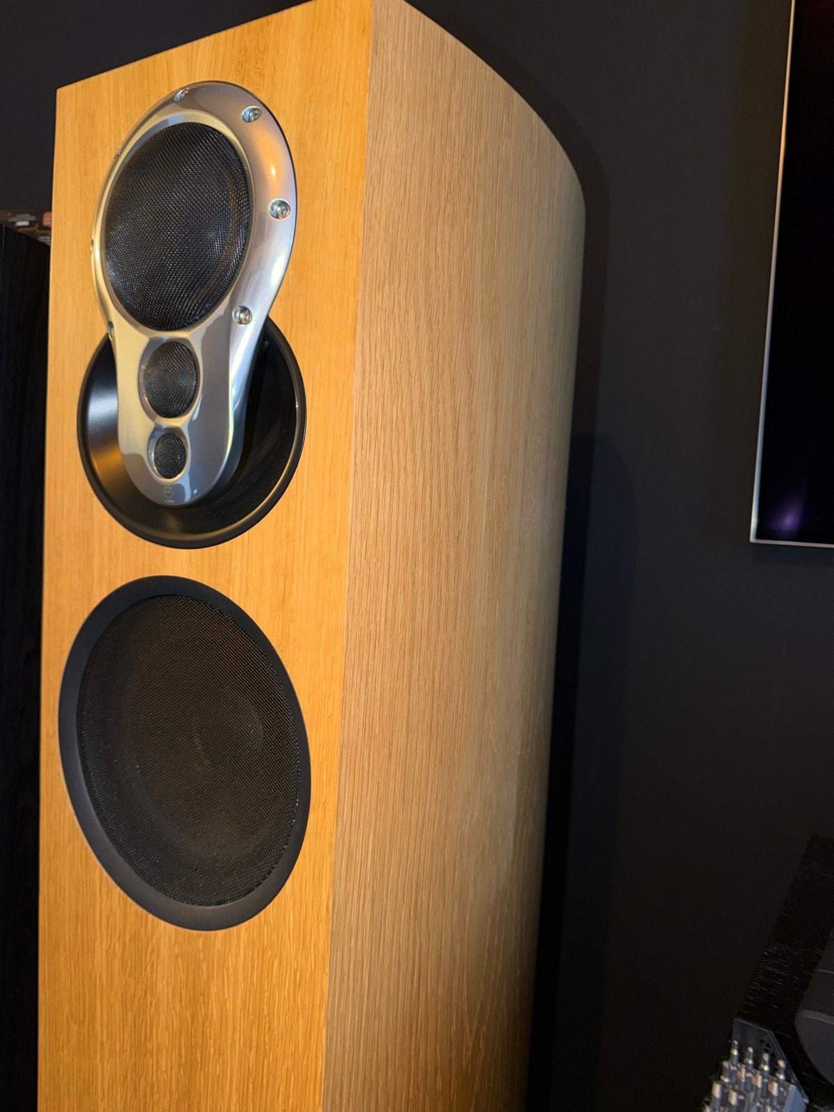 Linn Akubarik - Zo goed als nieuw - Zeldzame kans, Audio, Tv en Foto, Luidsprekers, Zo goed als nieuw, Front, Rear of Stereo speakers