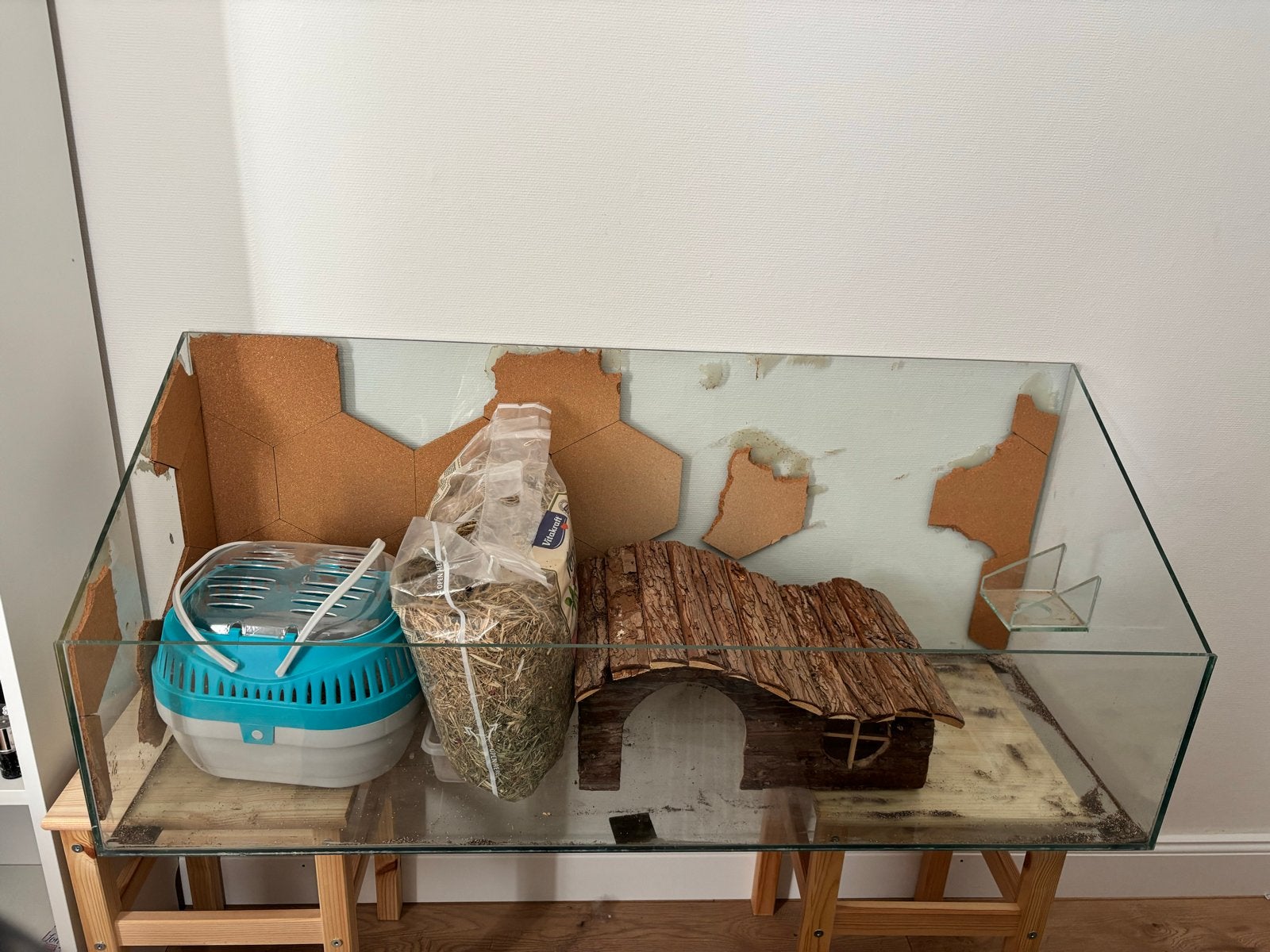 Groot glazen terrarium + accessoires + onderstellen, Dieren en Toebehoren, Reptielen en Amfibieën | Toebehoren, Ophalen, Gebruikt
