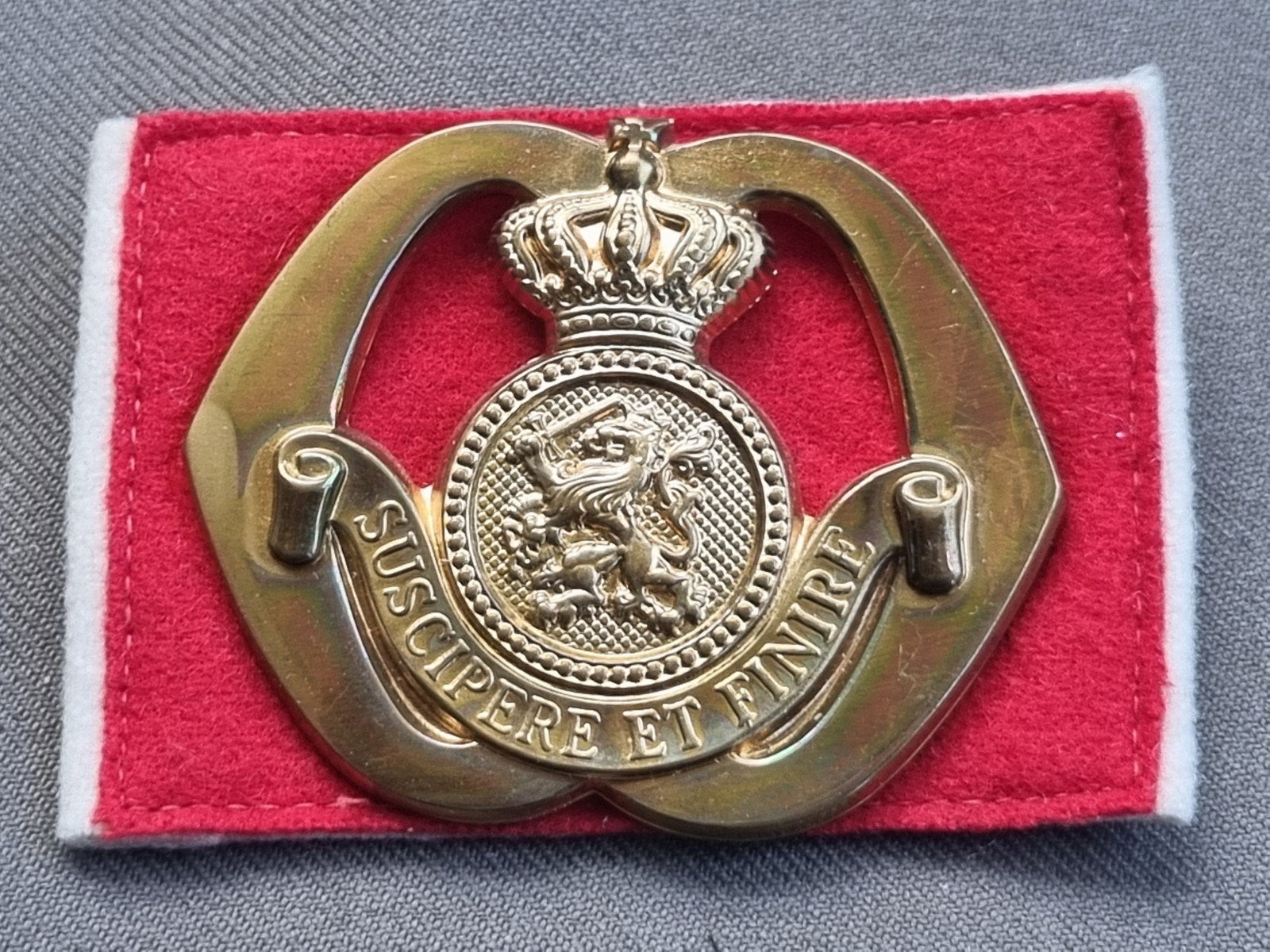 Baretembleem Opleidings Centrum Officieren Speciale Diensten, Verzamelen, Militaria | Algemeen, Ophalen of Verzenden, Landmacht
