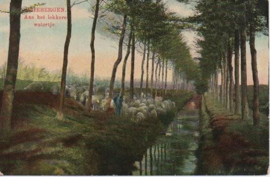 Driebergen, Verzenden, Voor 1920, Gelopen, Utrecht