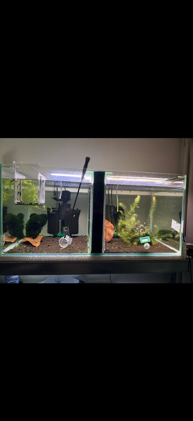Professionele aquarium kweekbak 75x40x35 deelbaar 2 vakken, Dieren en Toebehoren, Ophalen, Zo goed als nieuw, Leeg aquarium