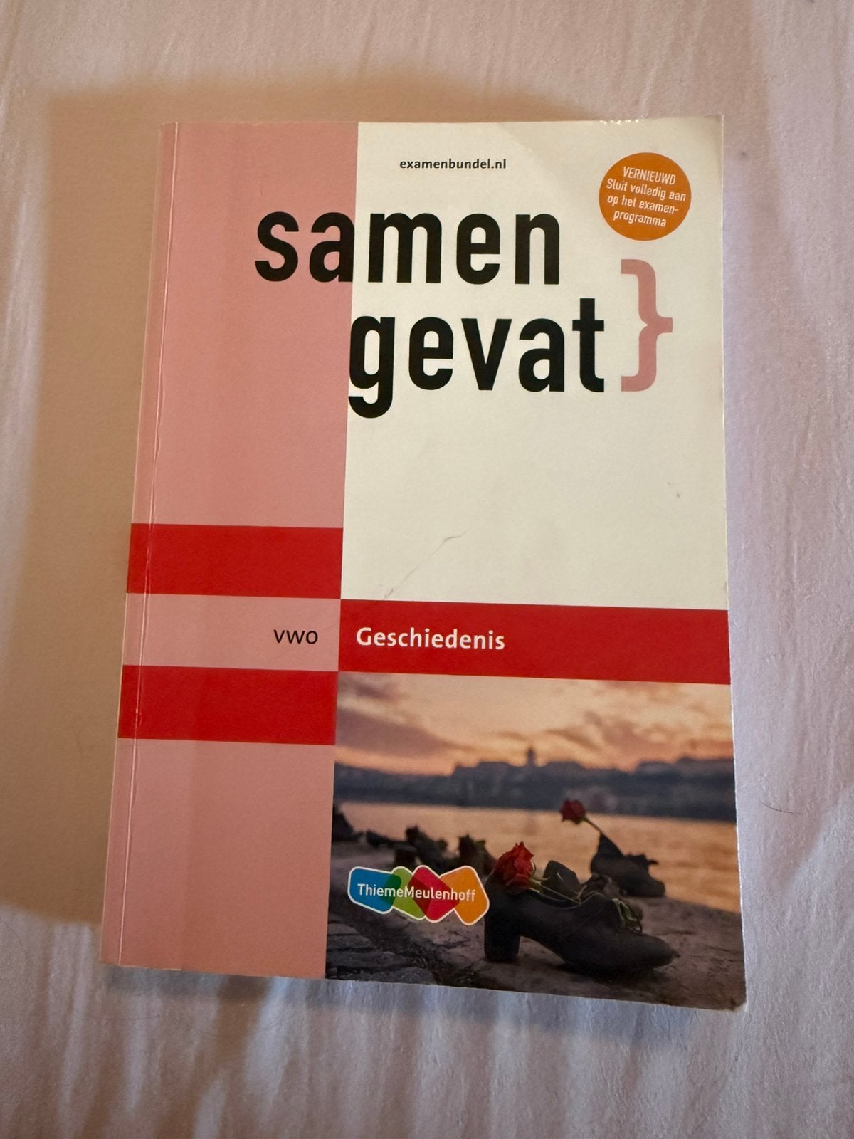 Samengevat VWO Geschiedenis - Examenbundel Thiememeulenhoff, Boeken, Ophalen of Verzenden, Gamma, Nieuw, WO