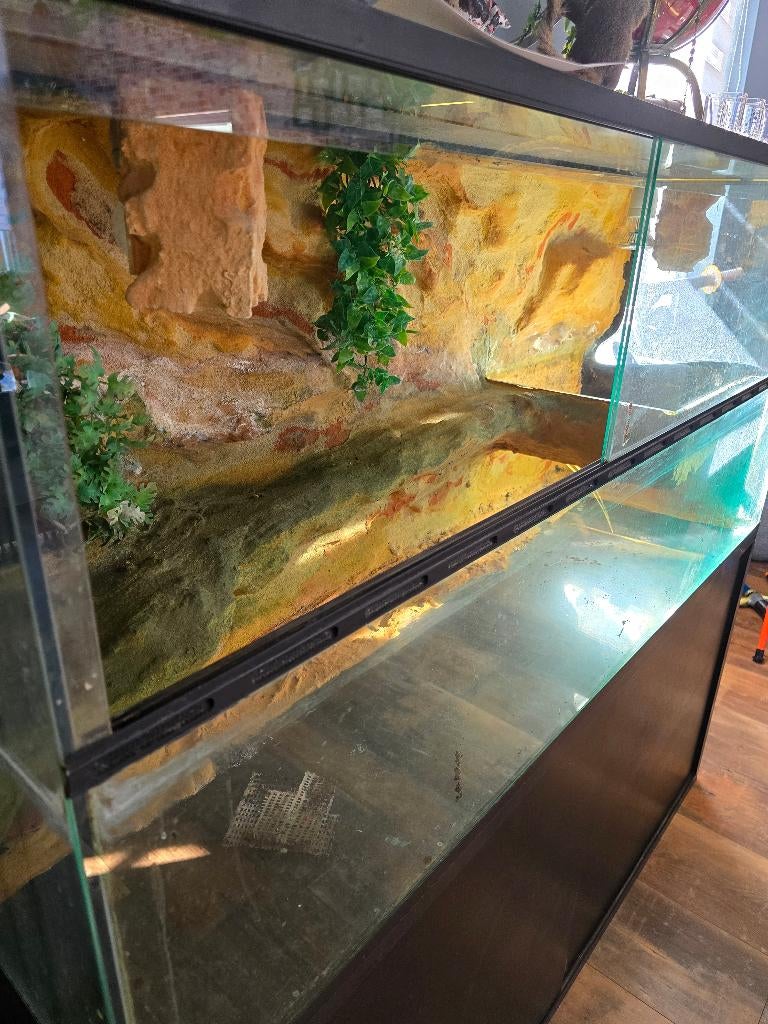 Gratis terrarium/ paludarium met kast groot, Ophalen