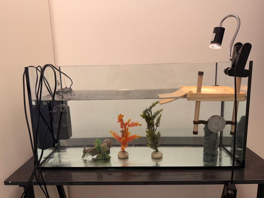 Aquarium + bijbehorende spullen!, Dieren en Toebehoren, Reptielen en Amfibieën, Schildpad, Met terrarium, 0 tot 2 jaar