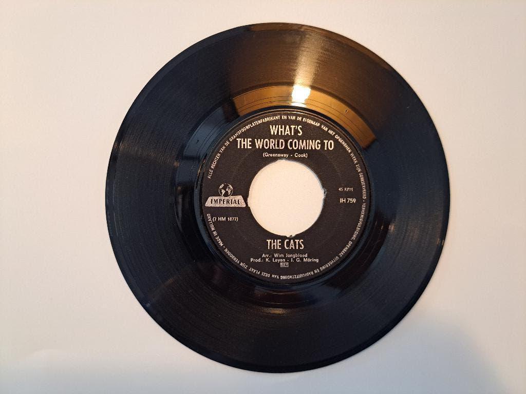 Single: The Cats - What's The world Coming To, Cd's en Dvd's, Vinyl Singles, Gebruikt, 7 inch, Single, Ophalen of Verzenden