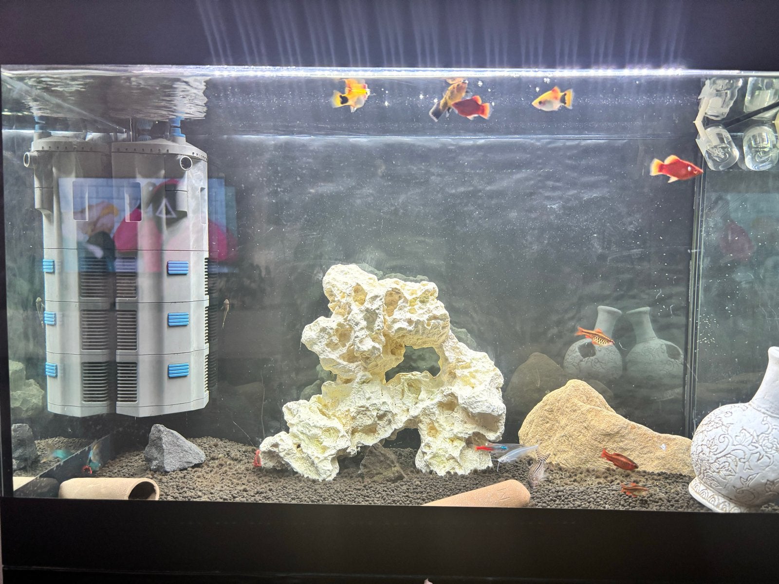 Aquarium - 80L, Ophalen, Leeg aquarium