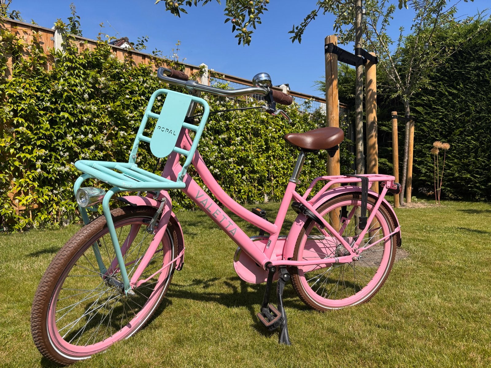 Roze Valetta meisjesfiets met voordrager - 22 inch, Ophalen, Zo goed als nieuw, Terugtraprem, 20 inch of meer