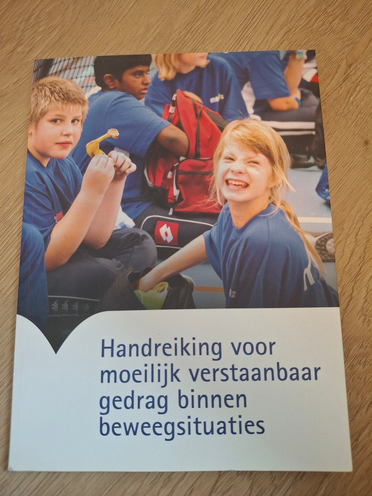 Handreiking moeilijk verstaanbaar gedrag bewegingssituaties, Onbekend, Ophalen of Verzenden, Zo goed als nieuw, Gamma