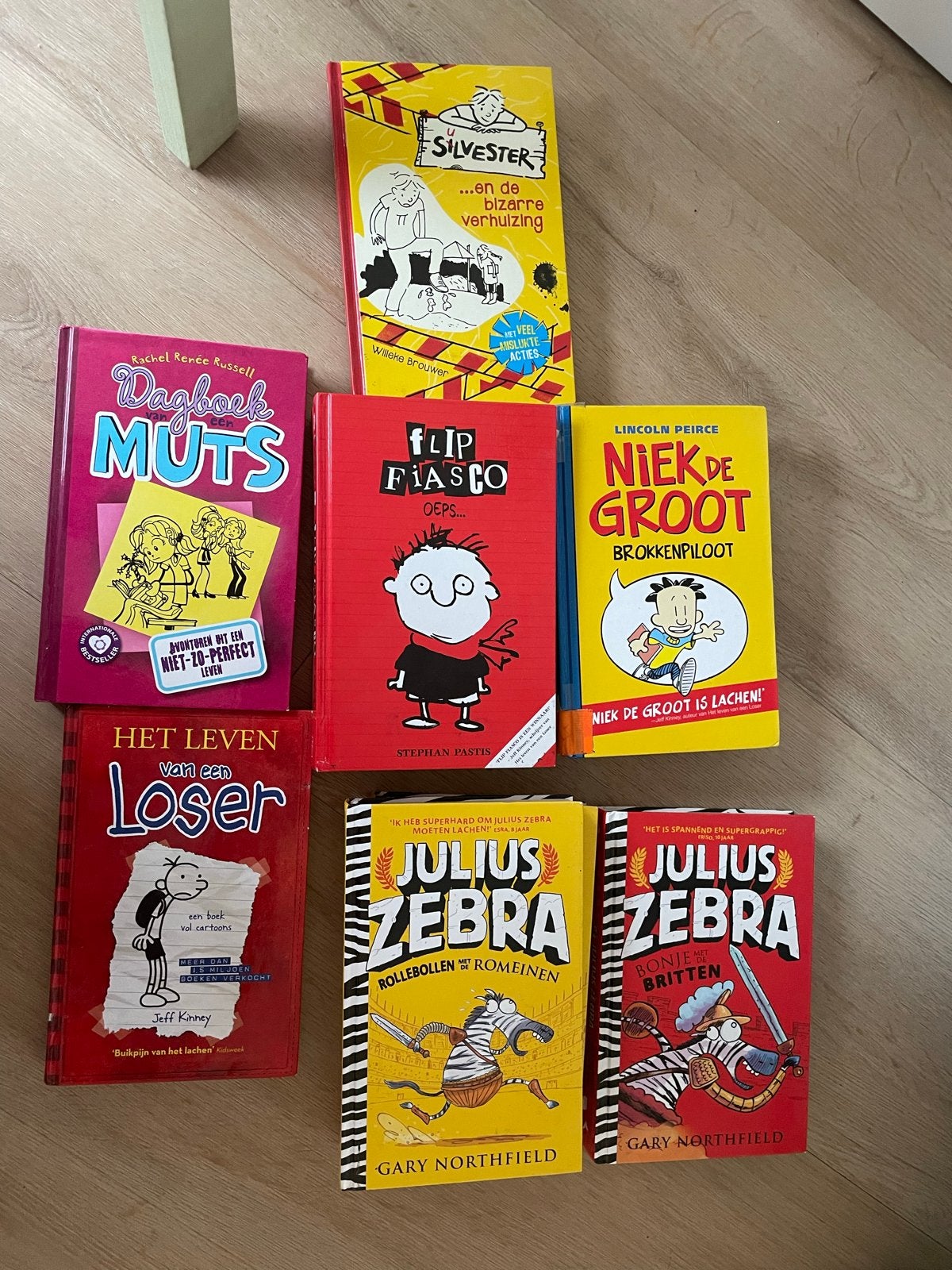 Kinderboekenpakket: Dagboek van een Muts, Niek de Groot e.a., Boeken, Ophalen of Verzenden, Gelezen, Fictie algemeen