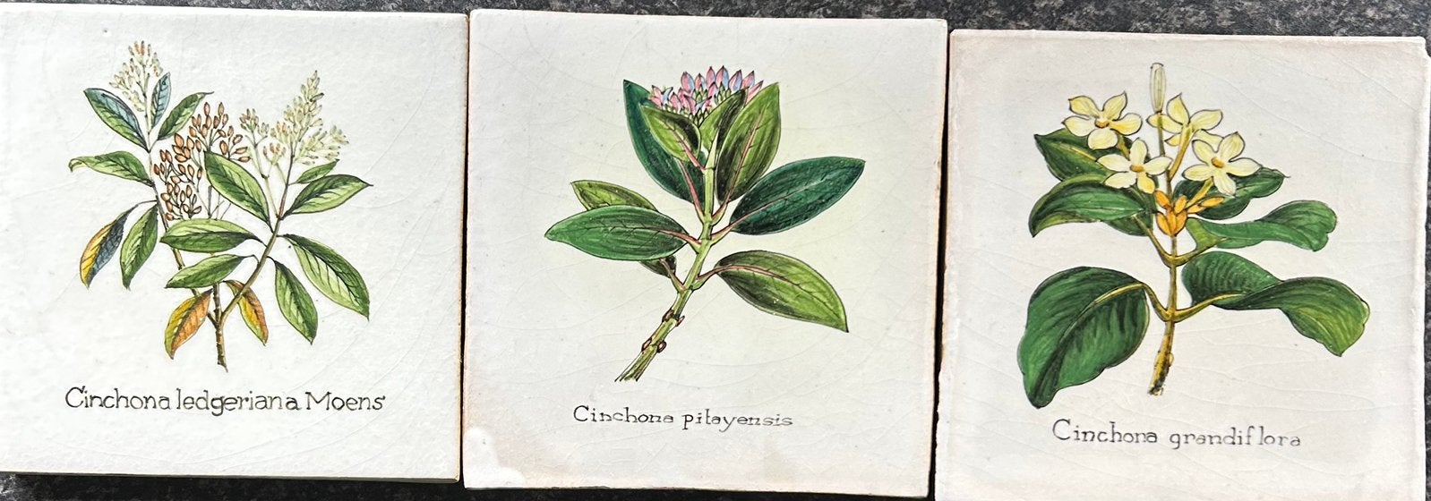 Unieke Tegeltjes van Tichelaar uit Makkum ca13x13 cm 1 cmdik, Ophalen of Verzenden