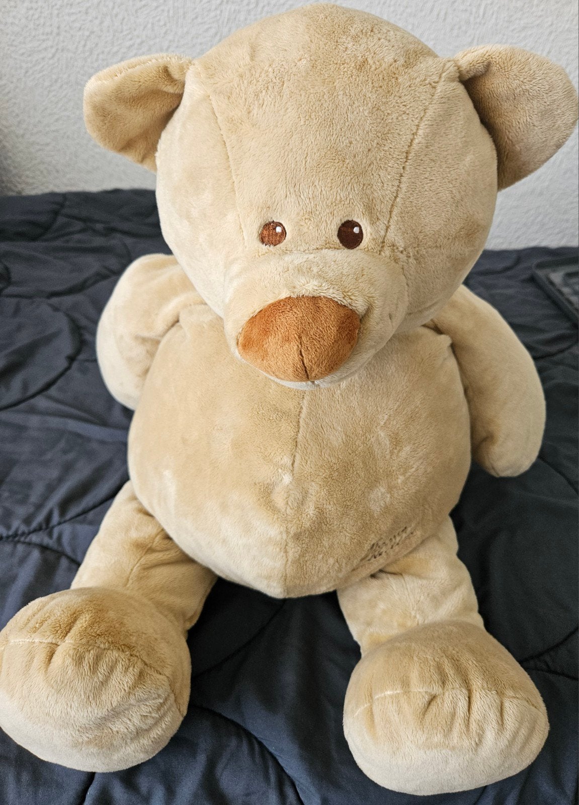 Grote Tiamo Collection Bruno Beer Knuffel - 65 cm, Ophalen of Verzenden, Zo goed als nieuw, Beer, Middelgroot (20 tot 80 cm)