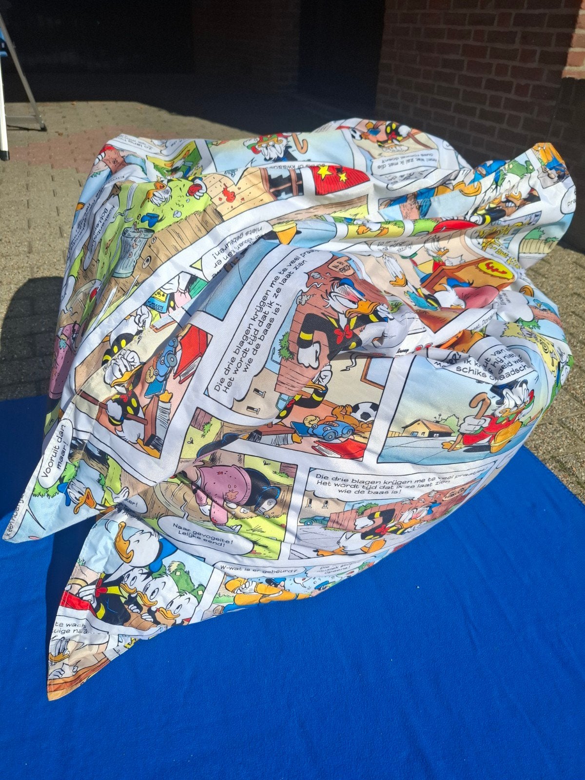 Donald Duck zitzak, Ophalen, Gebruikt, Meerkleurig, Zitzak
