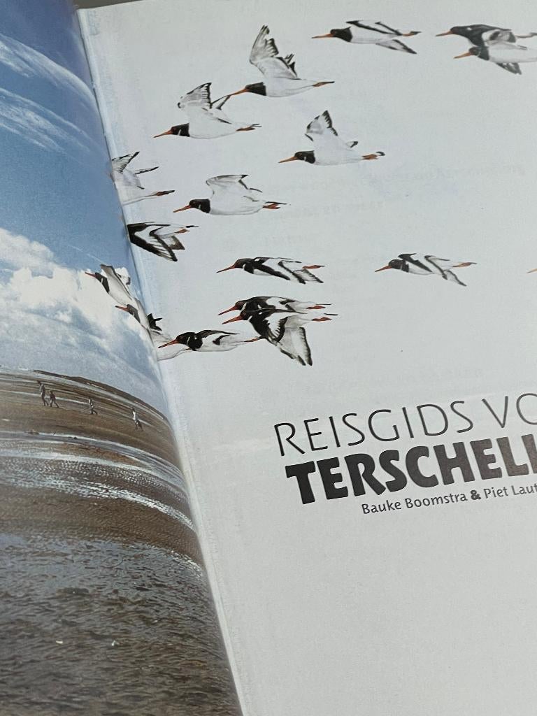 Reisgids voor Terschelling / VVV Terschelling, Boeken, Geschiedenis | Stad en Regio, Zo goed als nieuw, 20e eeuw of later, Ophalen of Verzenden