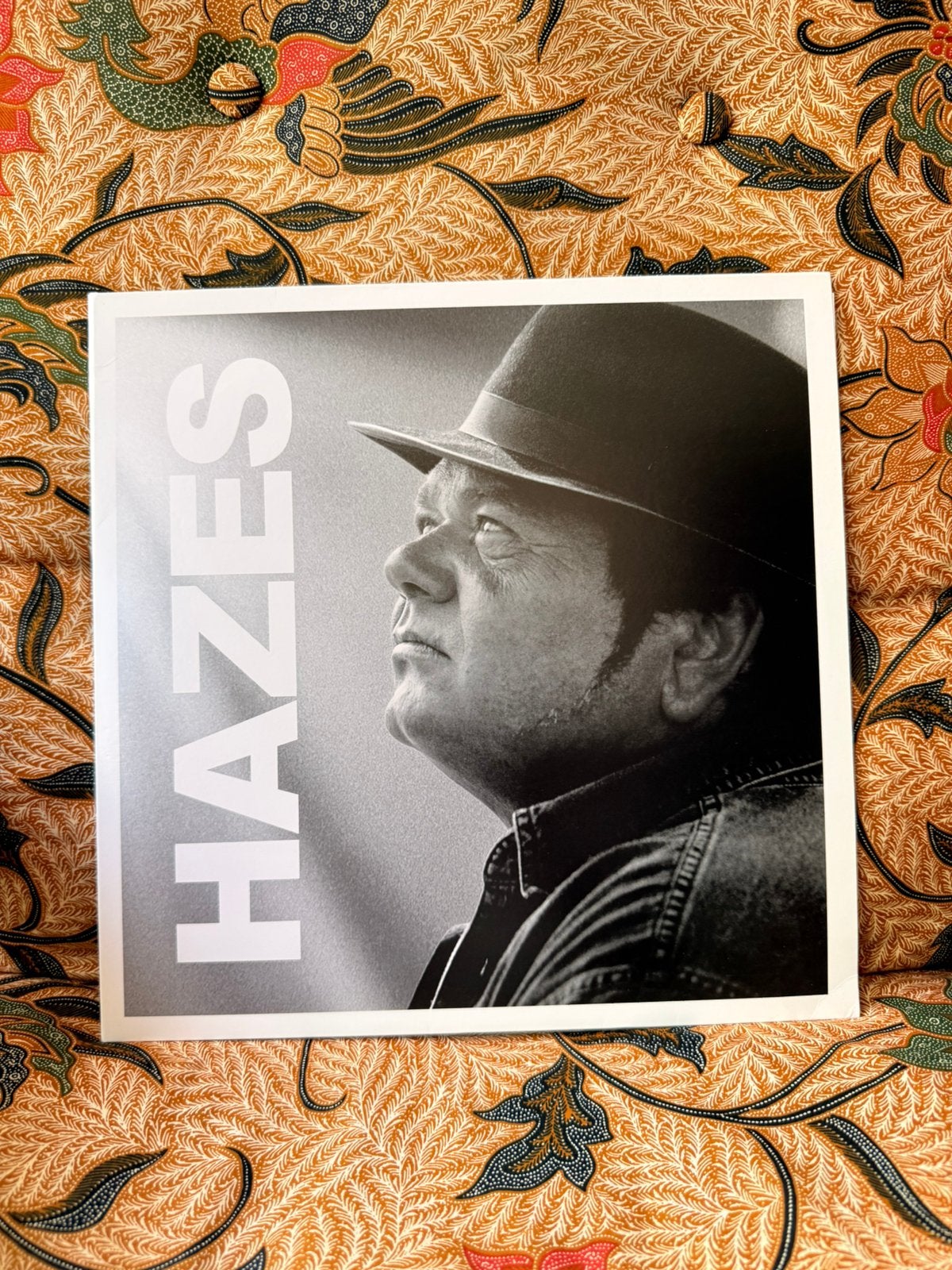Hazes 2LP, Ophalen of Verzenden, Zo goed als nieuw