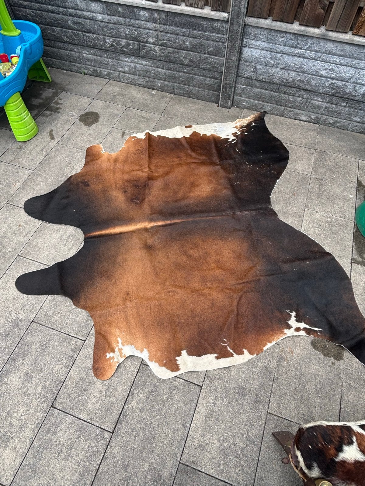 Prachtig bruin/zwart koeienvel - 220 cm breed + Krukje, Ophalen, Gebruikt, Bruin, 200 cm of meer
