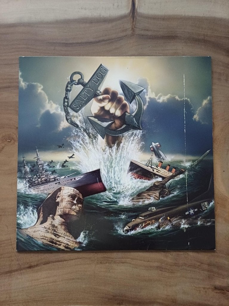 Salty Dog - Every Dog has its Day - Vinyl, Ophalen of Verzenden, Zo goed als nieuw, Overige formaten, Poprock