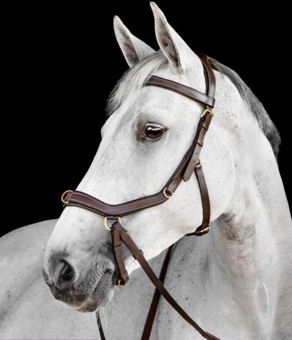 Rambo micklem multi bridle, Dieren en Toebehoren, Paarden en Pony's | Hoofdstellen en Tuigage, Ophalen of Verzenden, Gebruikt