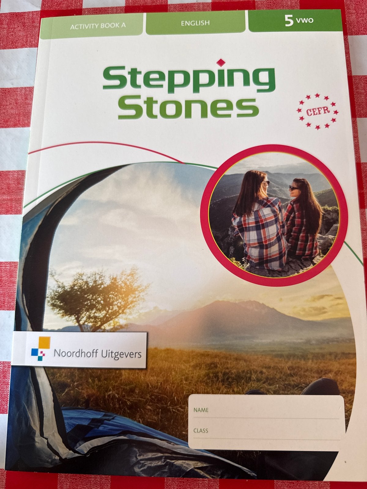 Stepping Stones Activity Book A 5 VWO Engels, Boeken, Ophalen of Verzenden, Nieuw, VWO, Engels