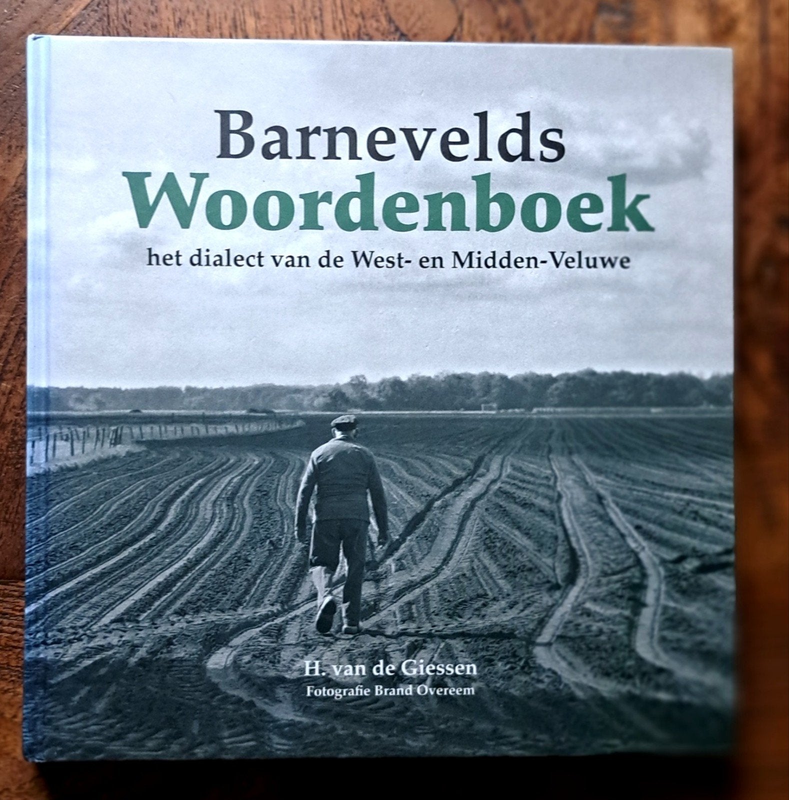 Barnevelds Woordenboek het dialect  West- en Midden-Veluwe, Boeken, Nieuw, Ophalen of Verzenden, H. van Giessen + fotografie Brand Overeem