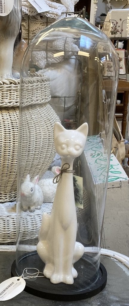 Brocante look glazen stolp met zwart onderbord / Nieuw, Ophalen