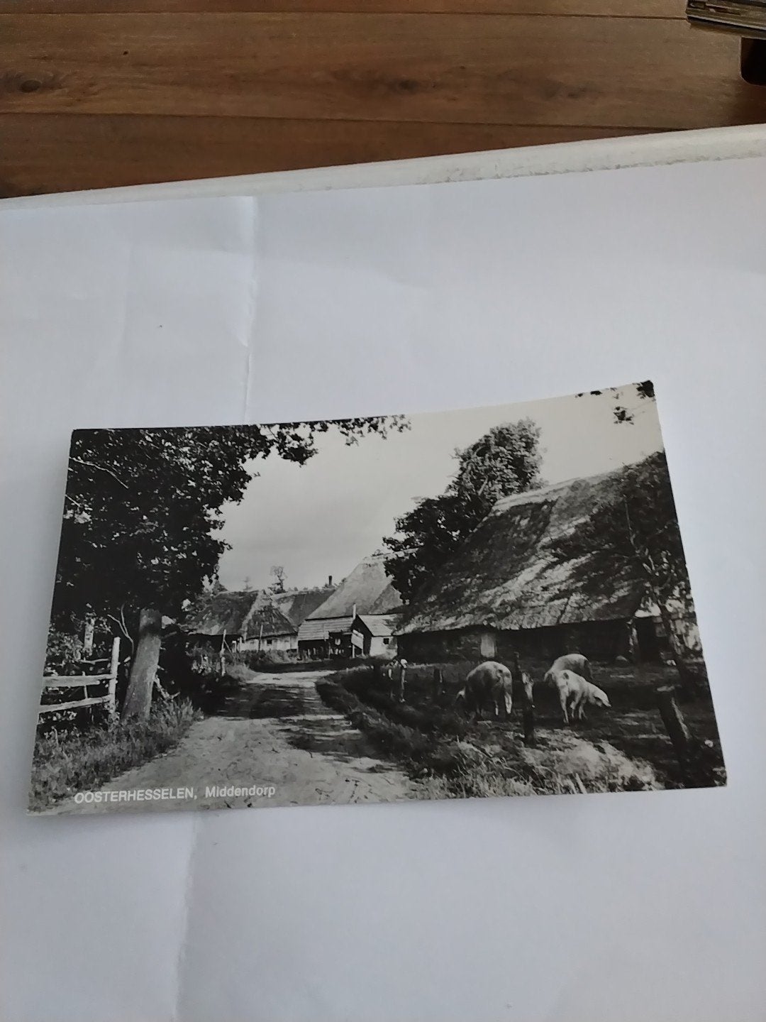 Oosterhesselen Middendorp - Zwart-wit ansichtkaart, Ophalen of Verzenden, 1960 tot 1980, Gelopen, Drenthe