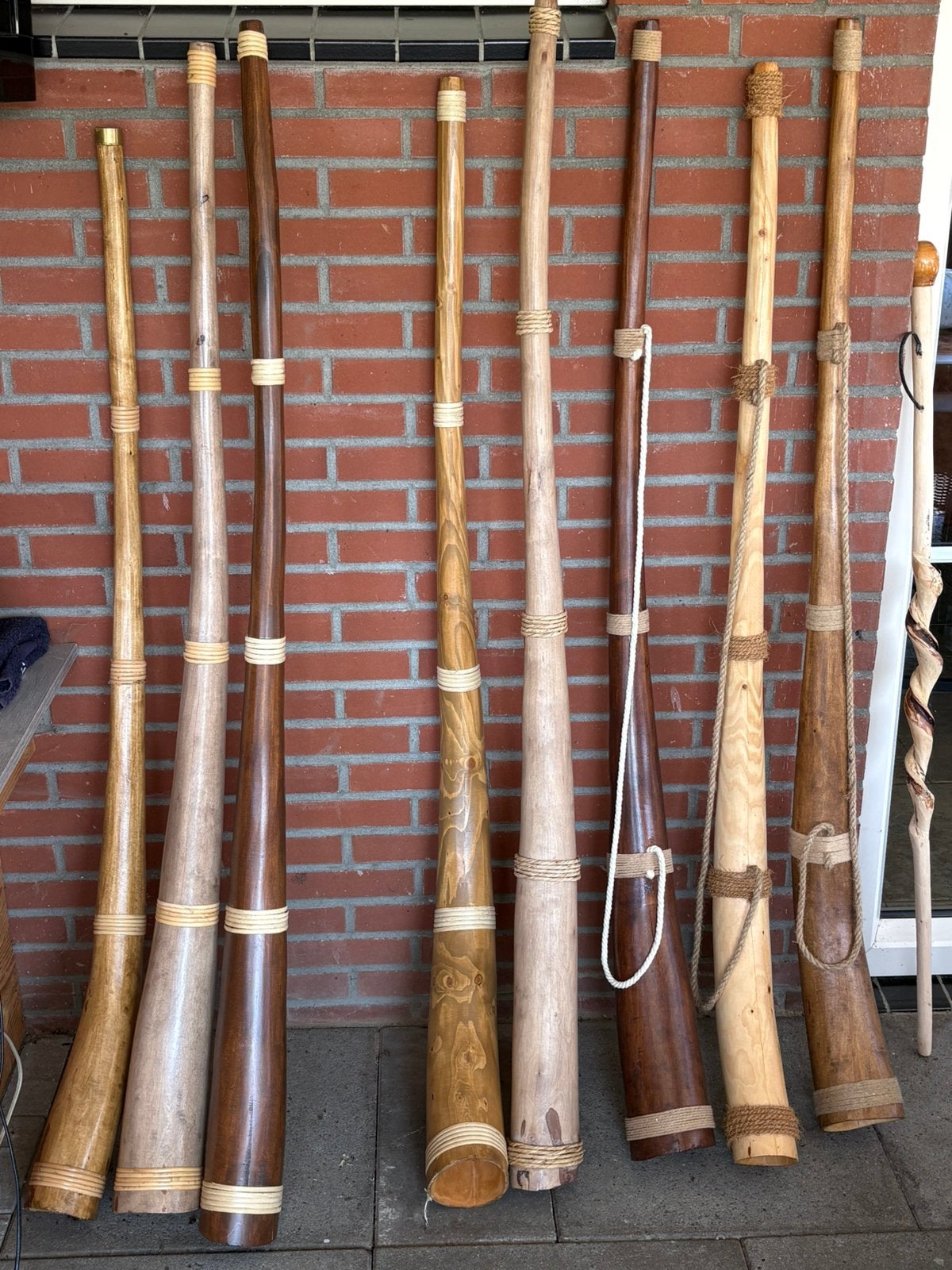 Midwinterhoorns te koop., Ophalen, Zo goed als nieuw, Overige soorten