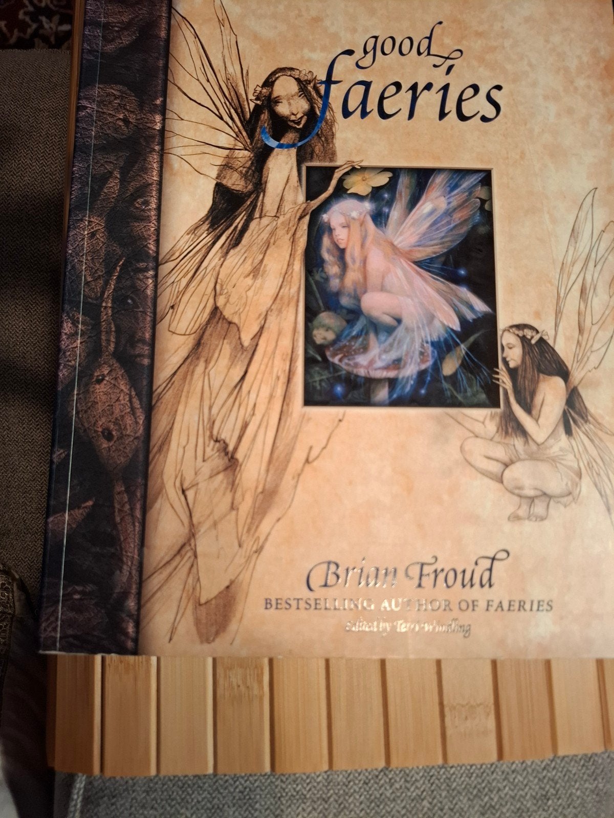 Good Faeries & Bad Faeries - Brian Froud, Verzenden, Zo goed als nieuw, Brian Froud