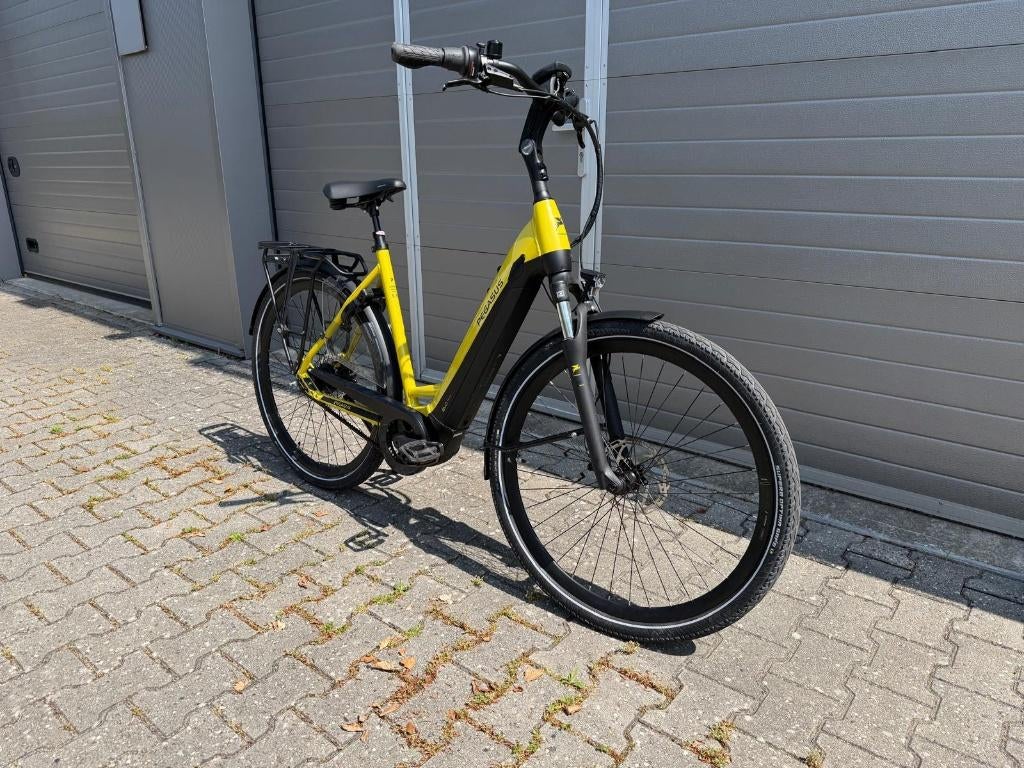 Pegasus Ravenna Evo 8f Belt, Overige merken, 53 tot 56 cm, Info@pegasus.com, Schijfrem