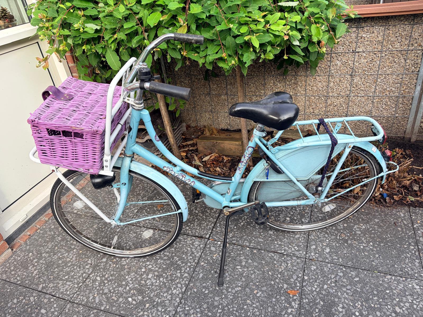 Meisjes fiets Batavus 22 inch, Ophalen of Verzenden, Gebruikt, Terugtraprem, 22 inch