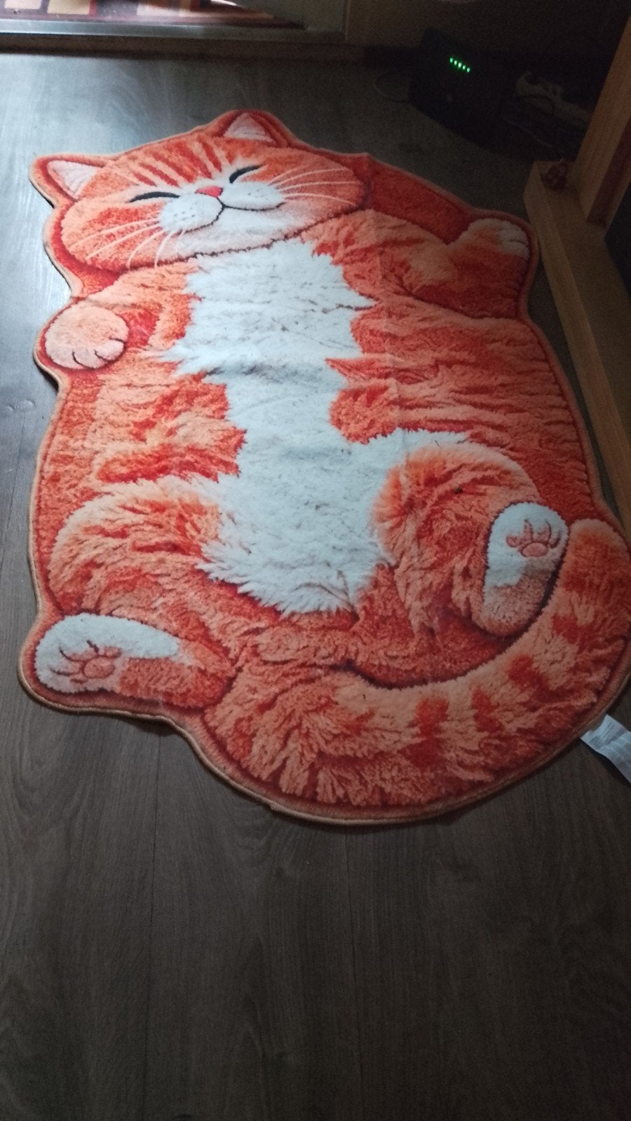 Leuk katten vloerkleed - zo goed als nieuw, Ophalen, 100 tot 150 cm, Zo goed als nieuw, Oranje