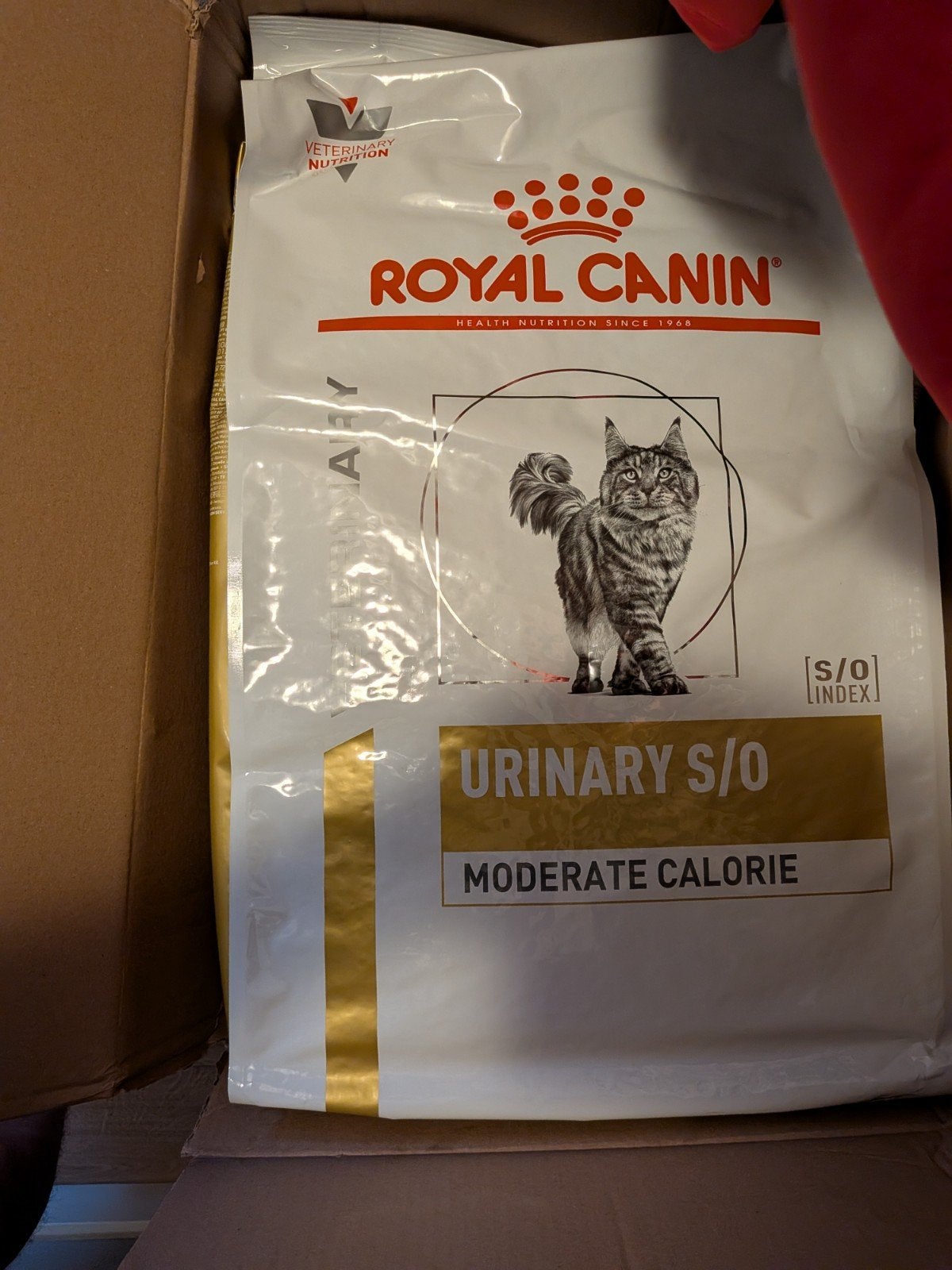 Royal Canin royal urinary s o kattenvoer 9 kg, Ophalen, Kat