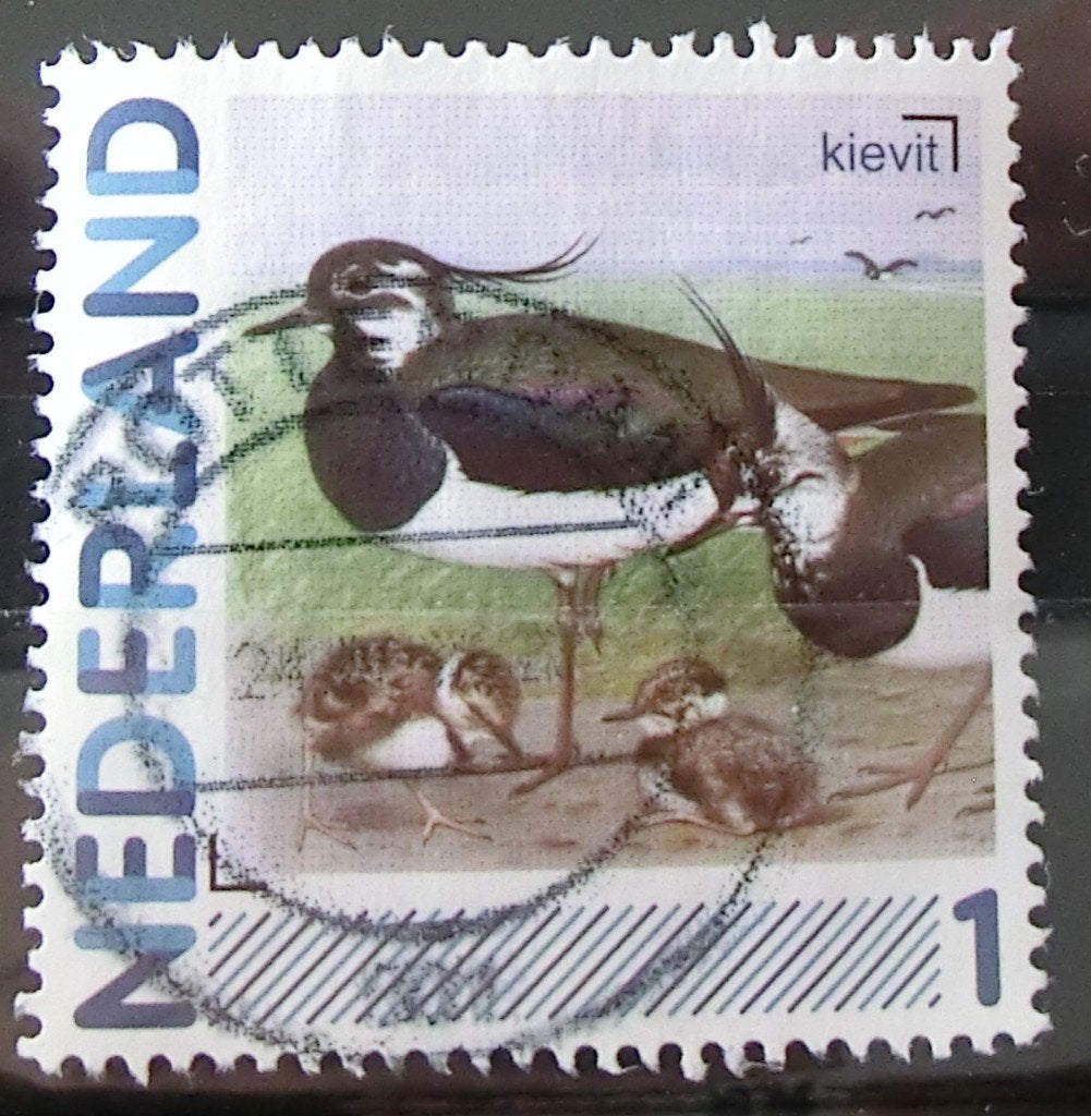 persoonlijke postzegel, Vogels, gest (lees aub), Ophalen of Verzenden, Na 1940, Gestempeld