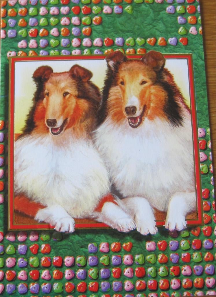 Nieuwe dubbele kaart met twee schotse collies, Verzenden, 1980 tot heden, Ongelopen, Hond of Kat
